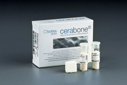 Cerabone® granules